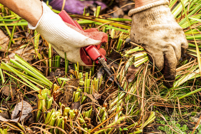 FEATURES & TIPS | Houp Landscaping - Enhancing Nature's Beauty